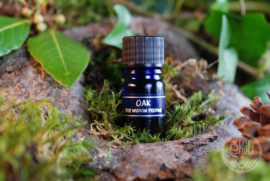 Oak - Tree Wisdom Perfume