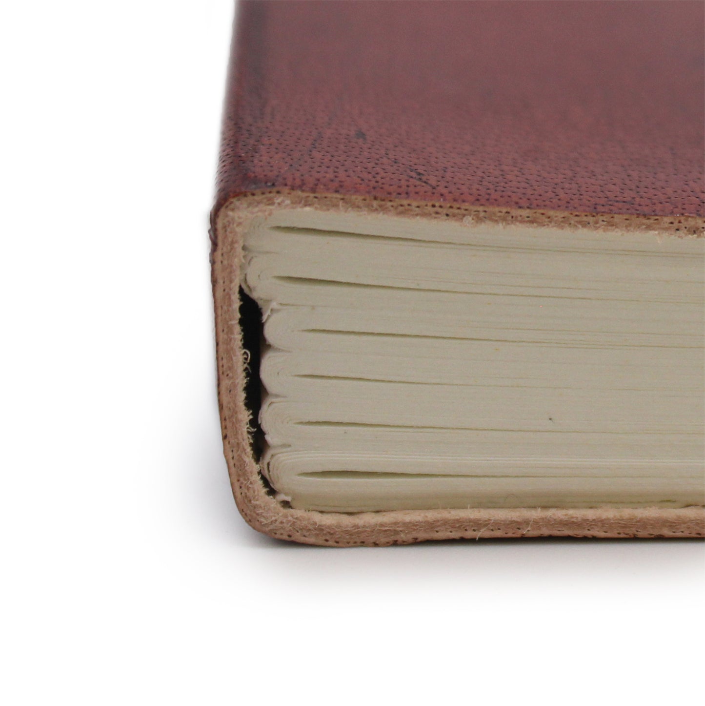 Tree of Life  - small notebook