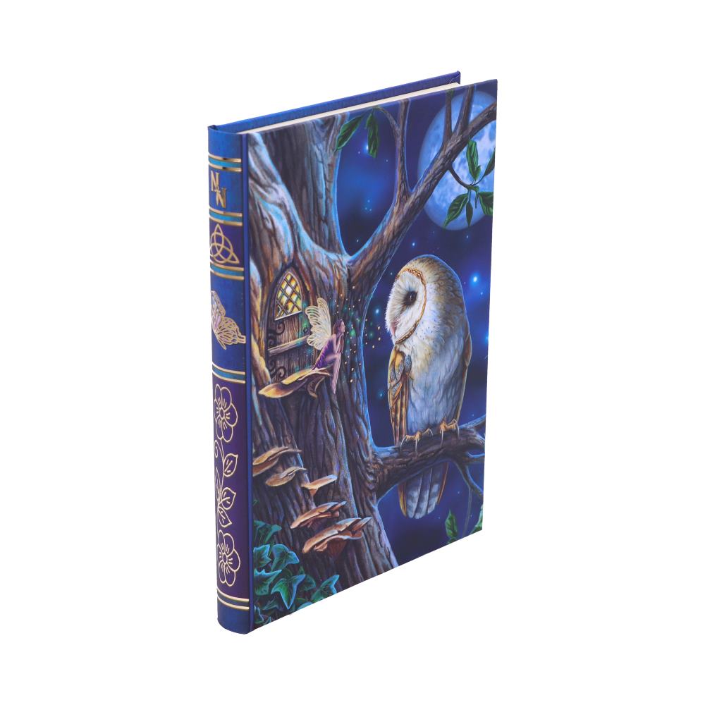 Fairy Tales Notebook