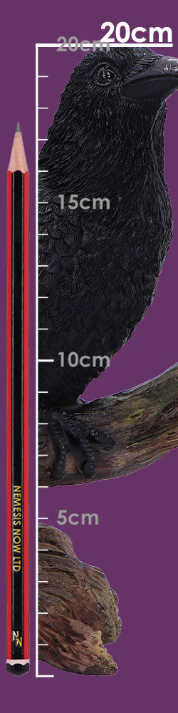 Raven's Perch 20cm