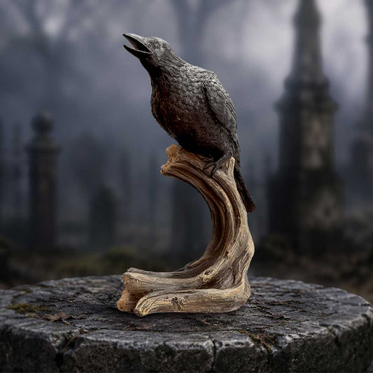 Raven's Caw 26.8cm