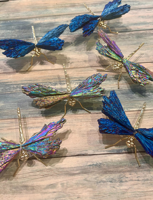 Kyanite Dragonfly