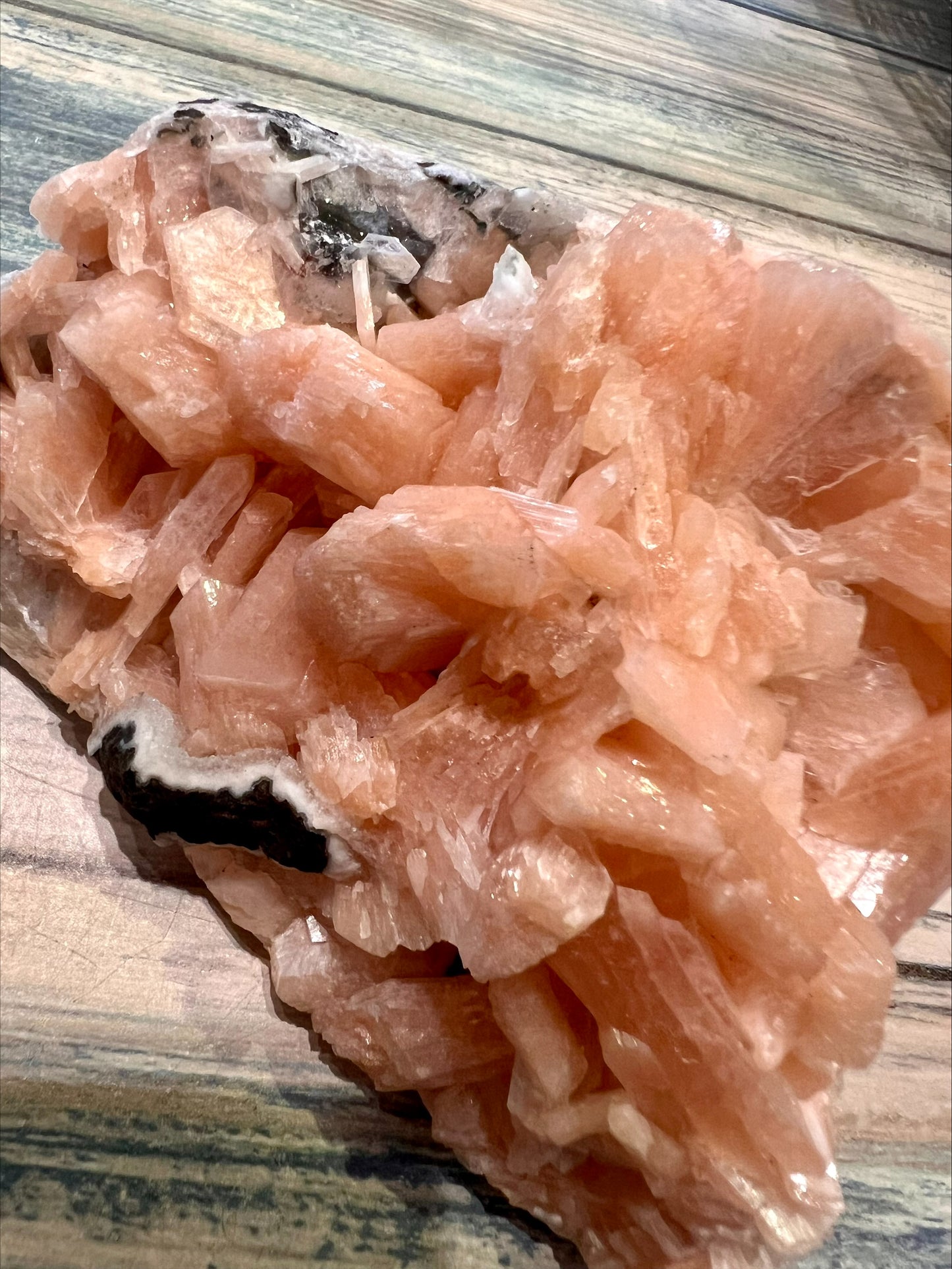 Peach Stillbirth- Raw