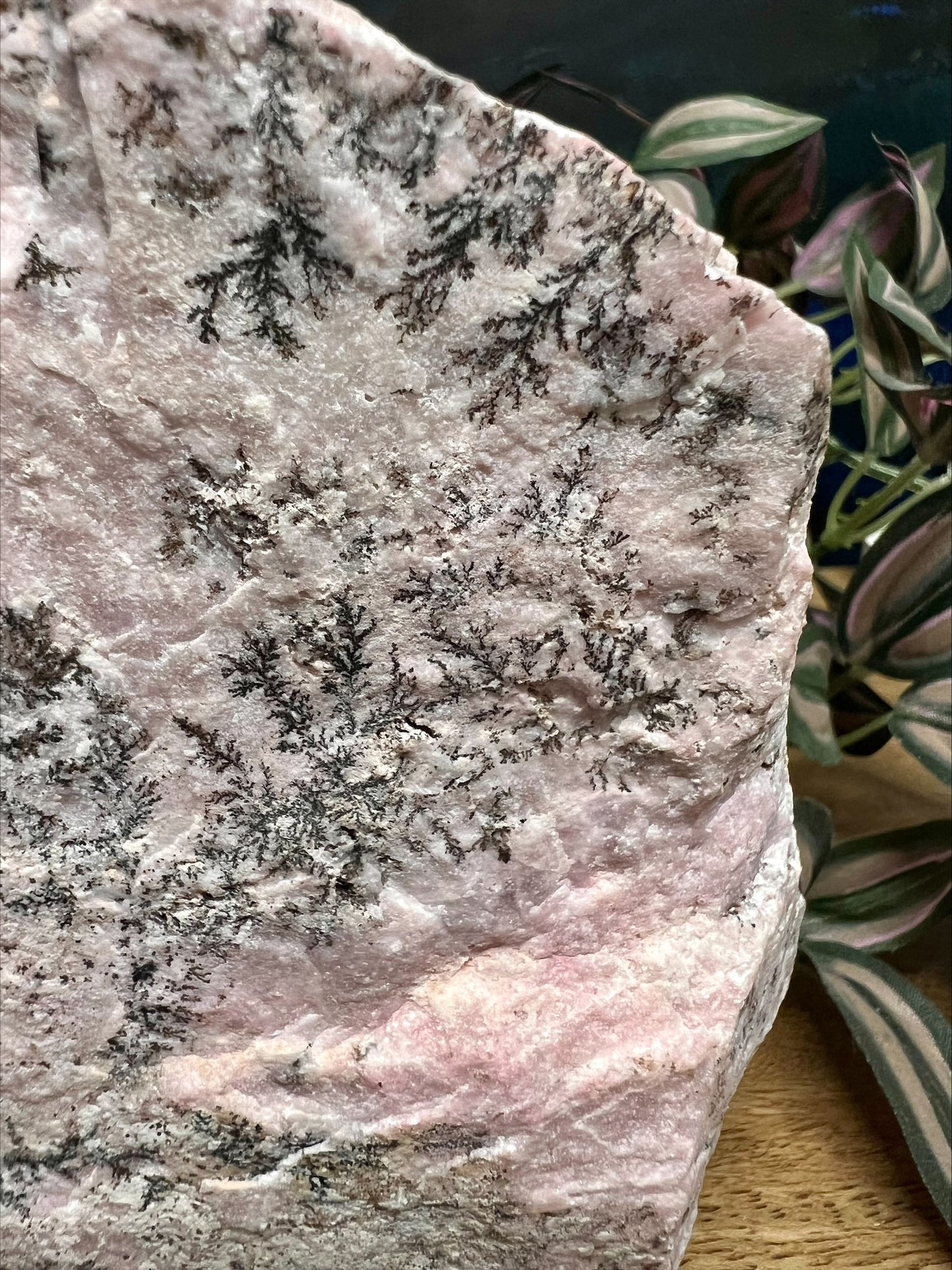 Dendritic Rhodonite Cut Base