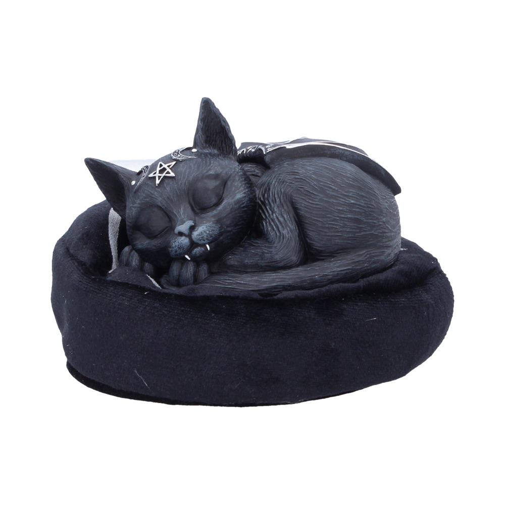 Malpuss Dreams 8.8cm