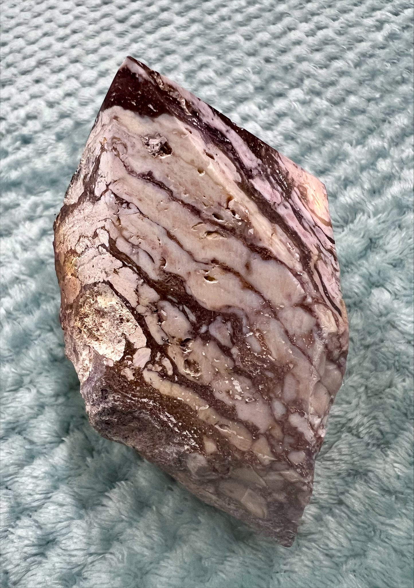 Zebra Jasper Cut Base Point