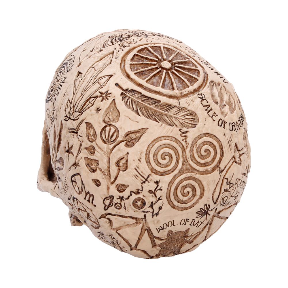 Apothecary Skull 14cm