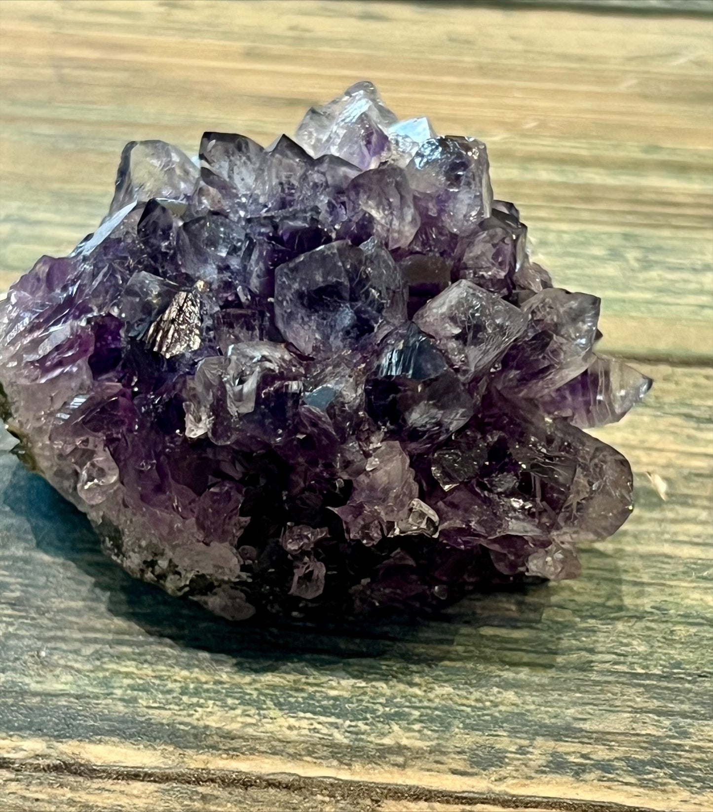 Amethyst Pine