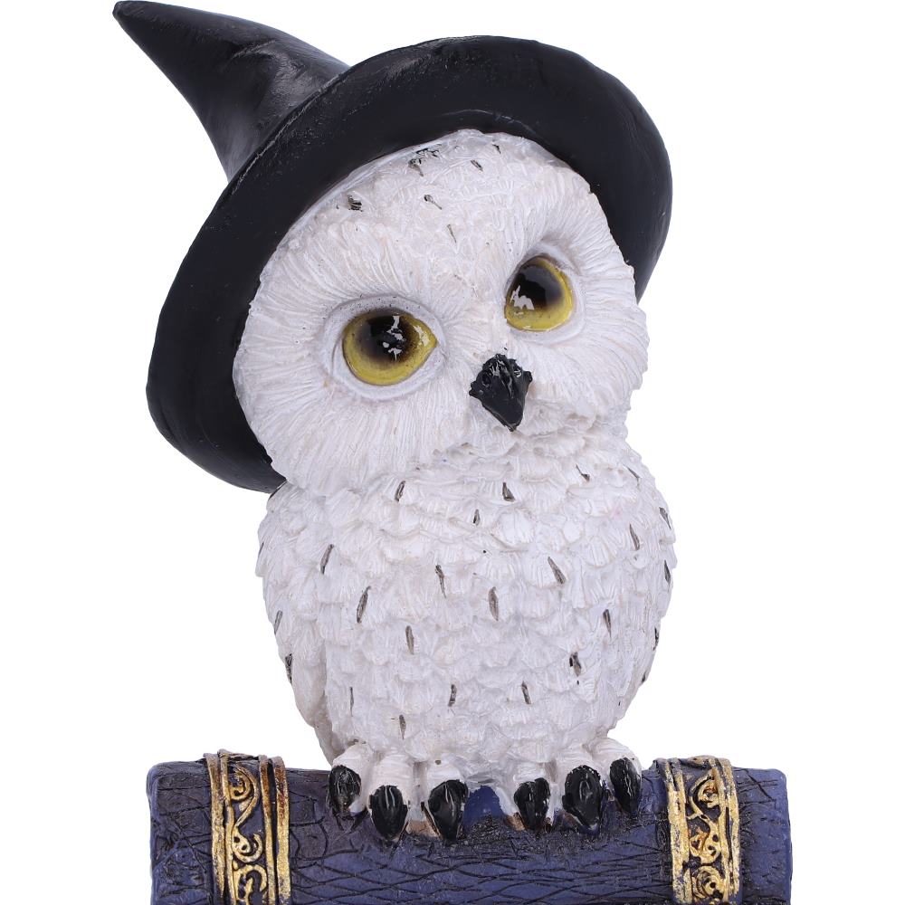 Avian Blue12.5cm