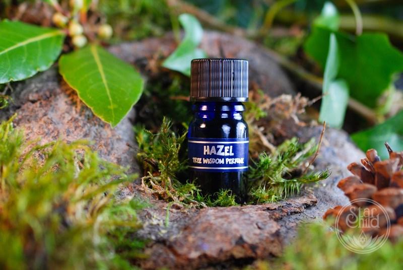 Hazel Tree Perfume