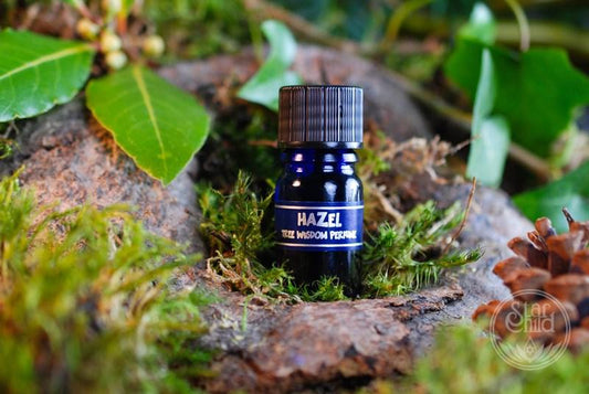 Hazel Tree Perfume