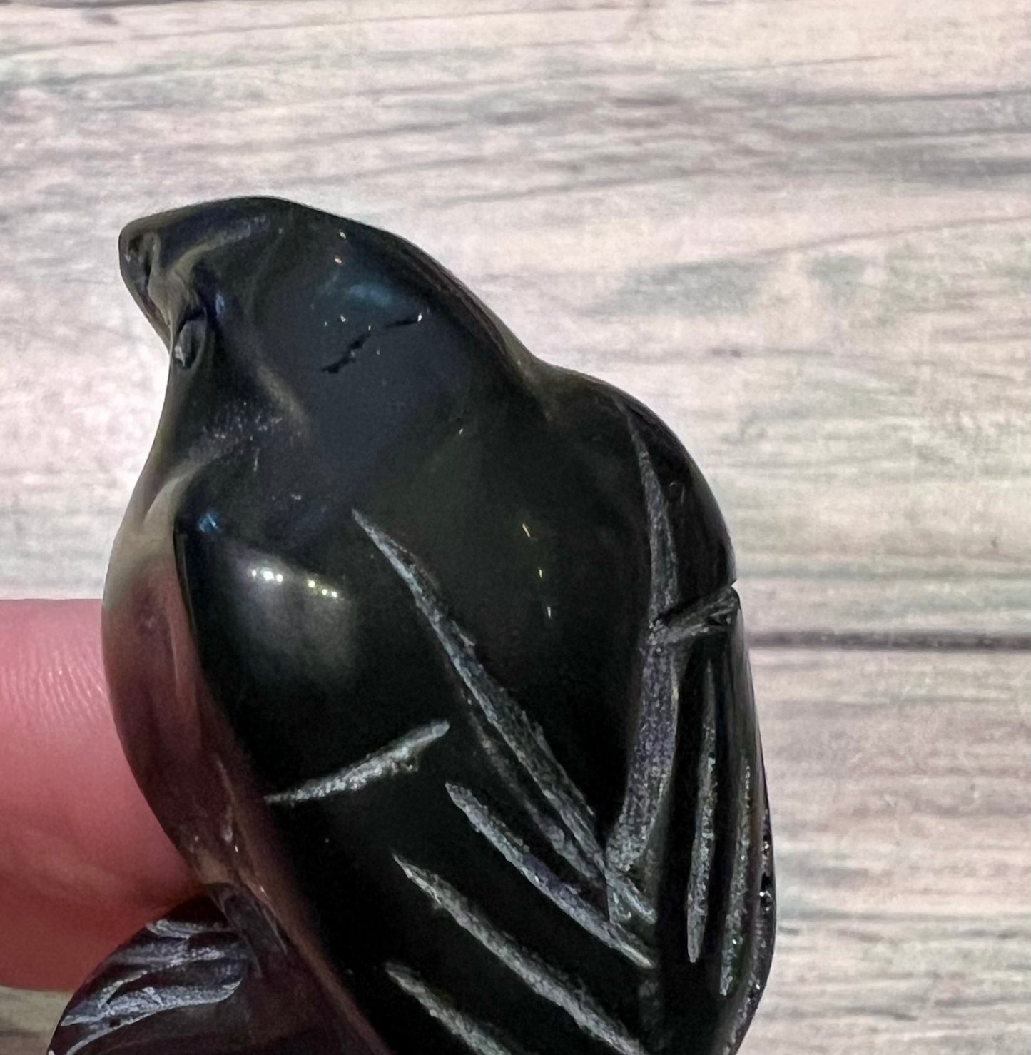 Obsidian Raven