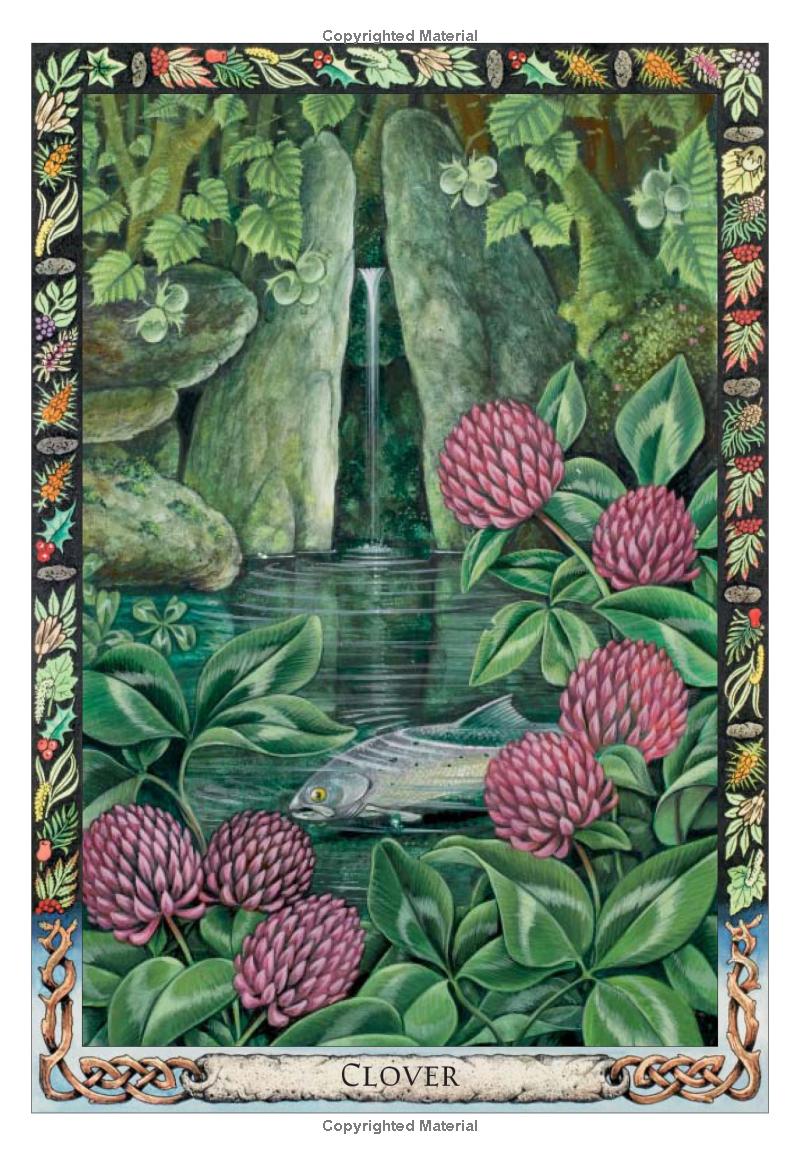 Druid Plant Oracle