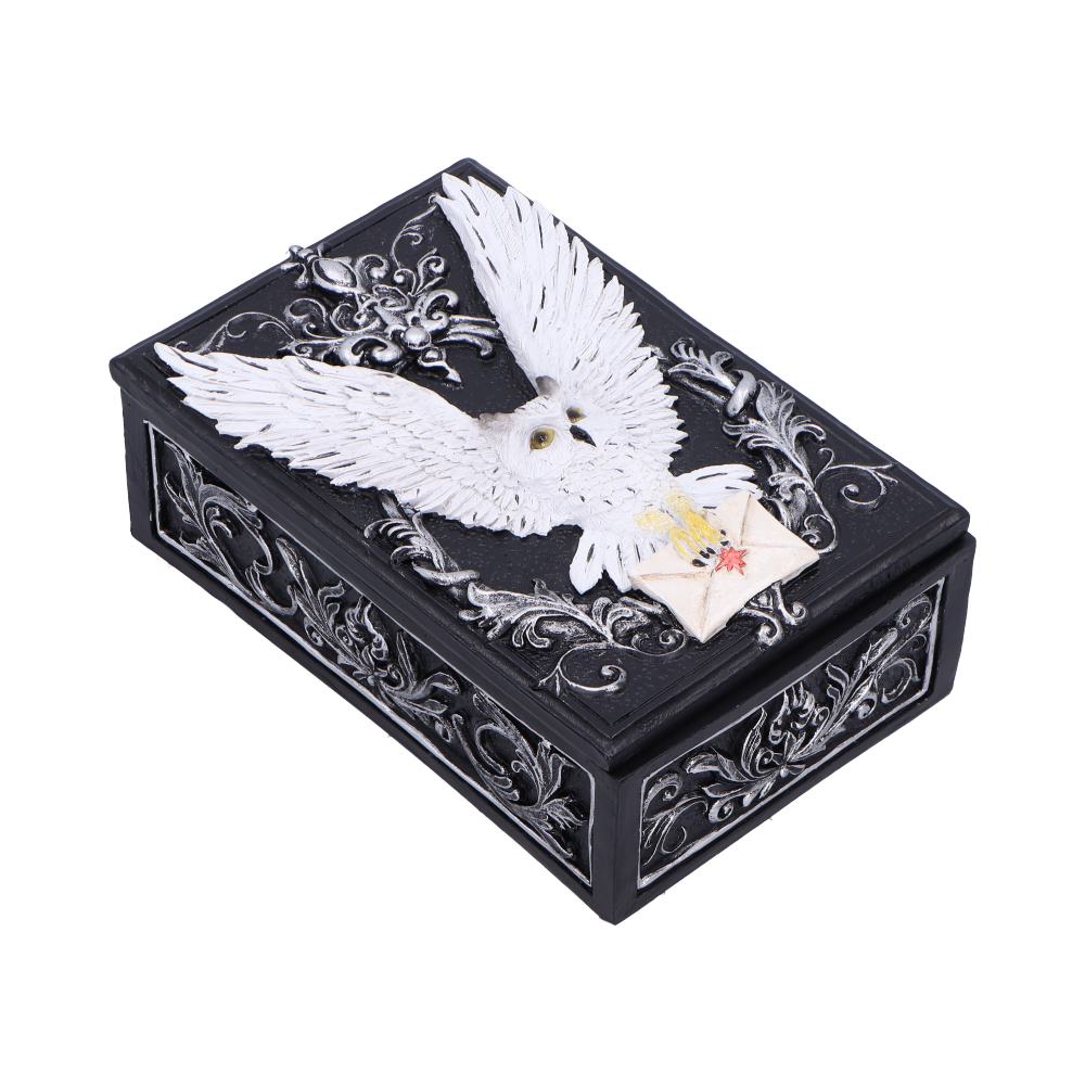 Owl Messenger Box 14cm