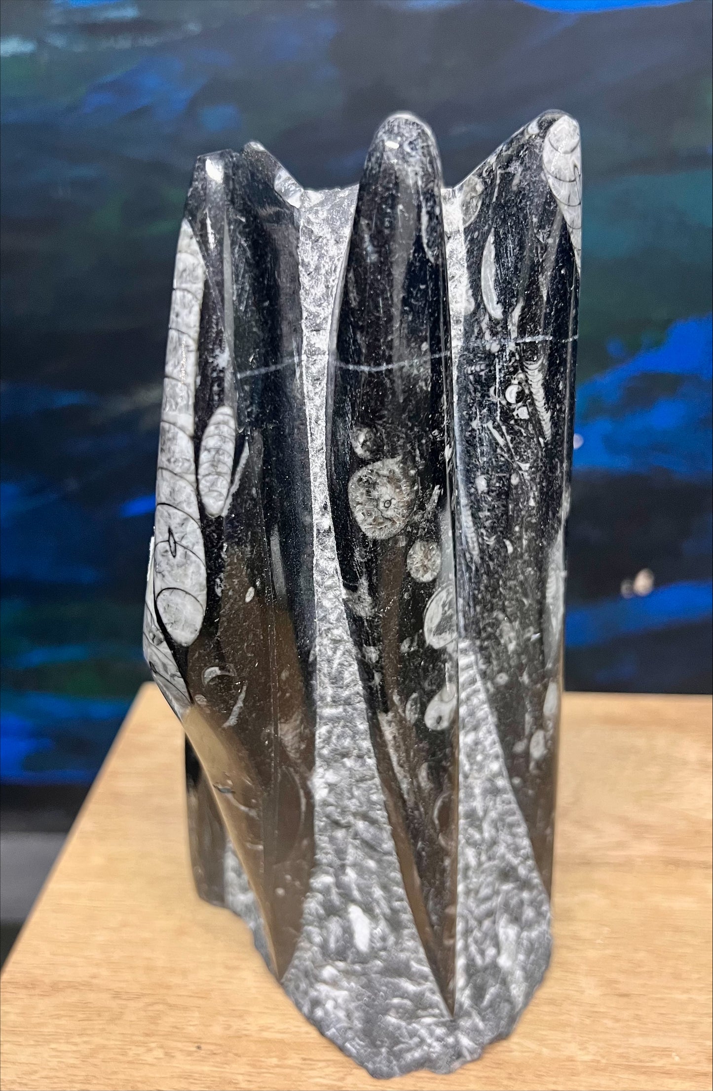 Orthoceras Fossil Sculpture