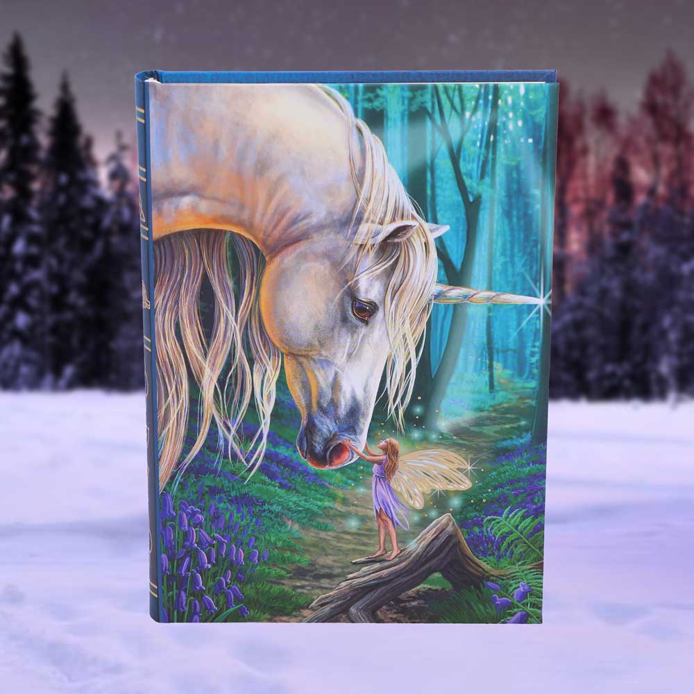 Journal - Fairy Whispers 17.5cm
