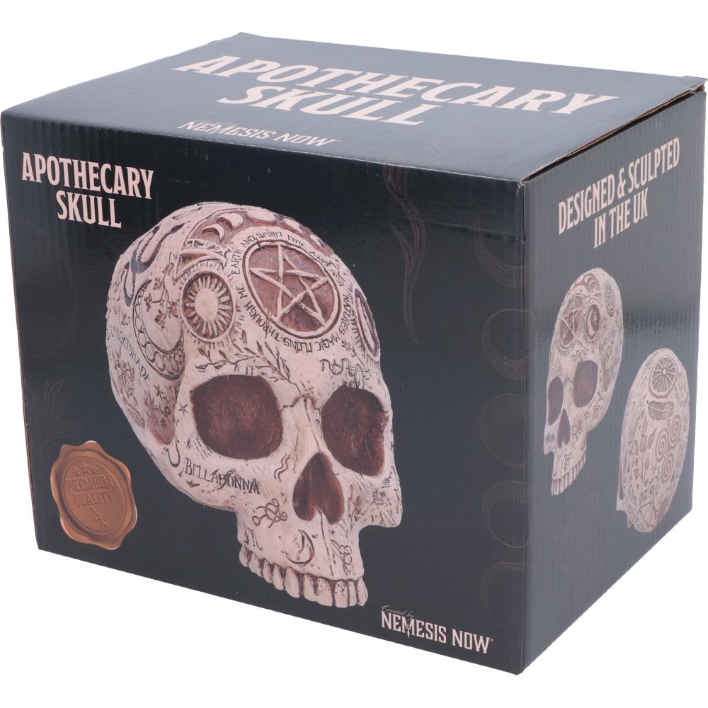 Apothecary Skull 14cm
