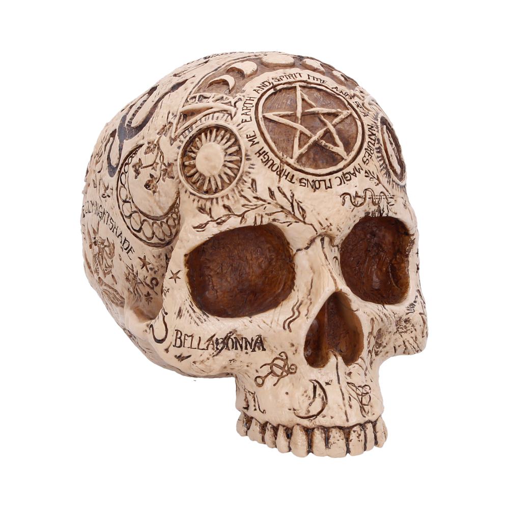 Apothecary Skull 14cm