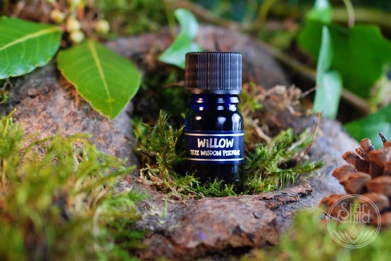 Tree Perfume - Willow 5ml