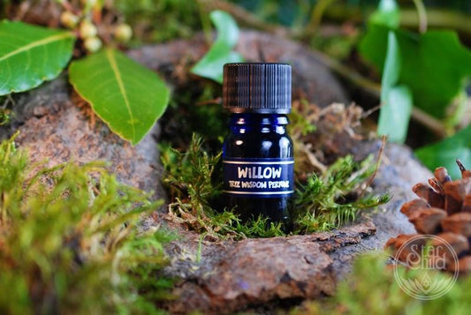 Tree Perfume - Willow 5ml