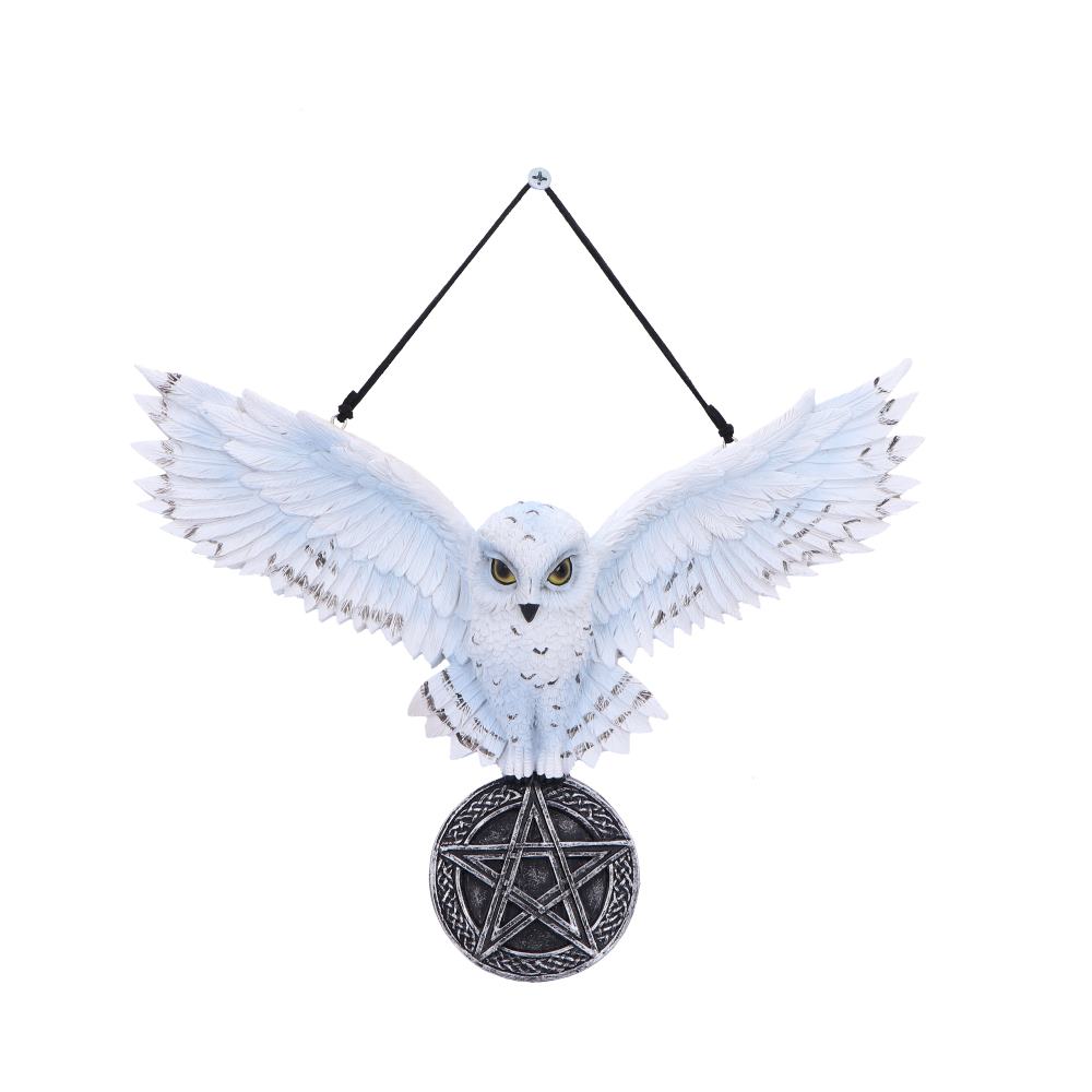 Owl Talisman20.5cm