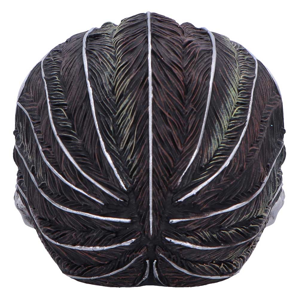 Quoth the Raven Skull 20.2cm