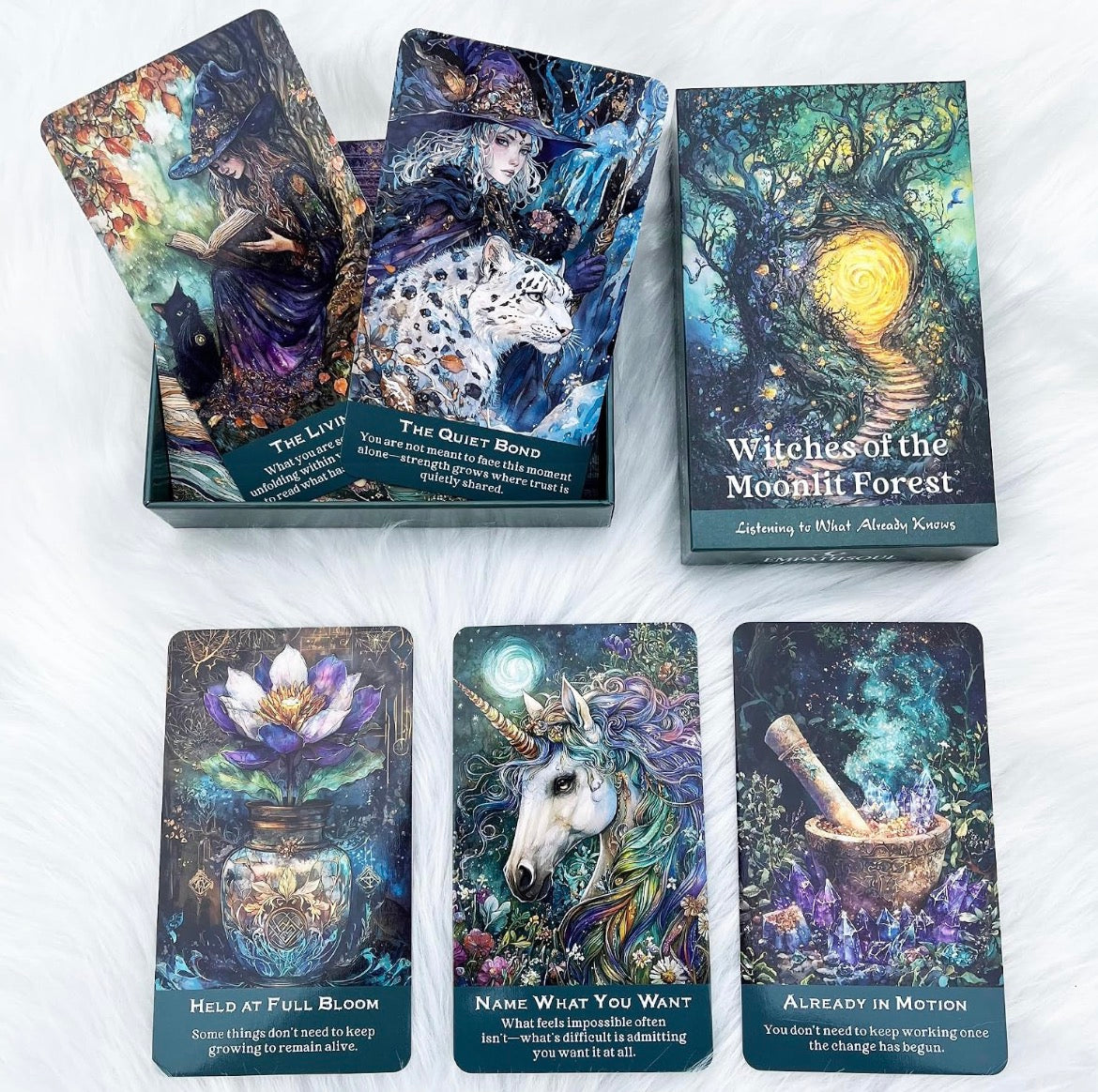 Witches of the Moonlit Forest