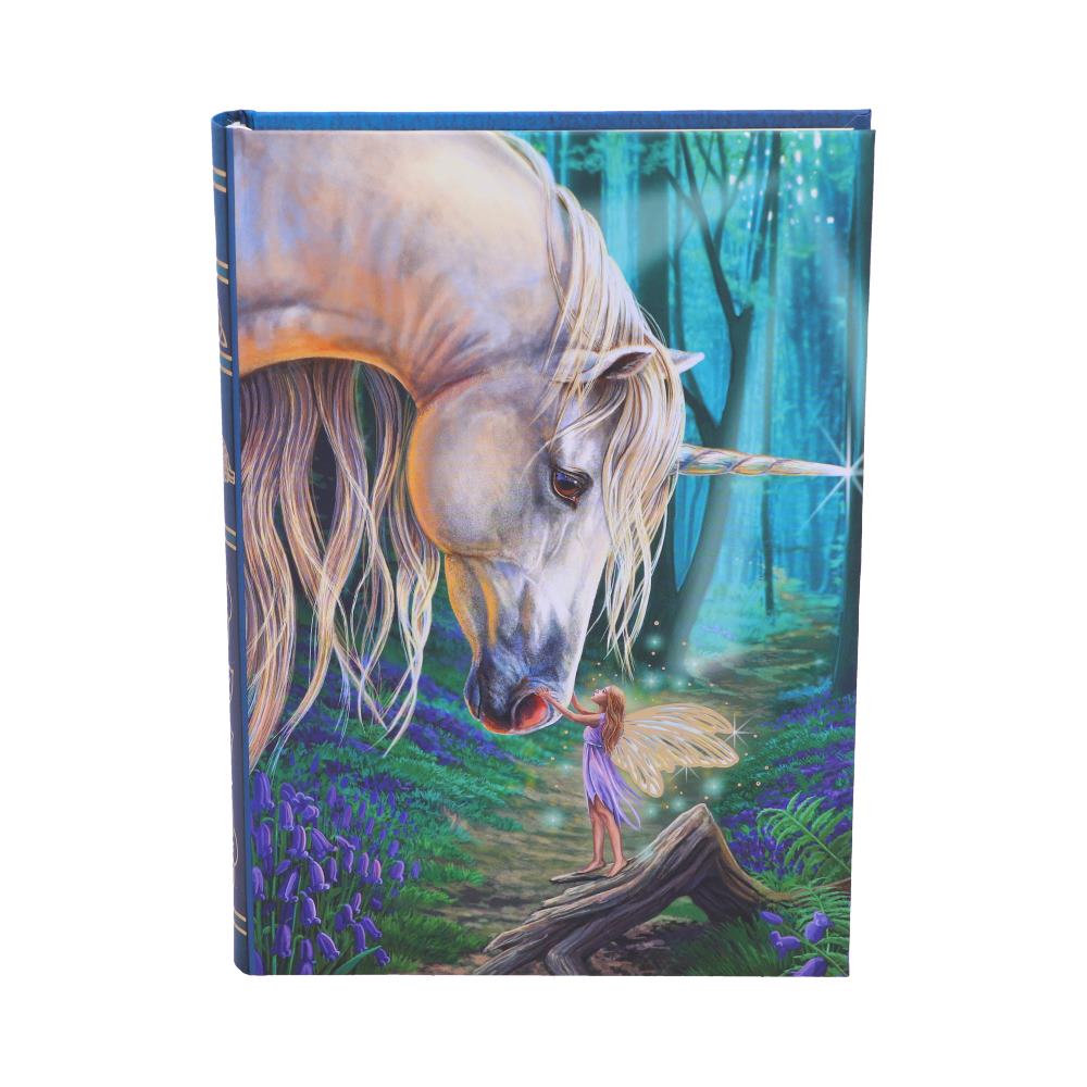 Journal - Fairy Whispers 17.5cm