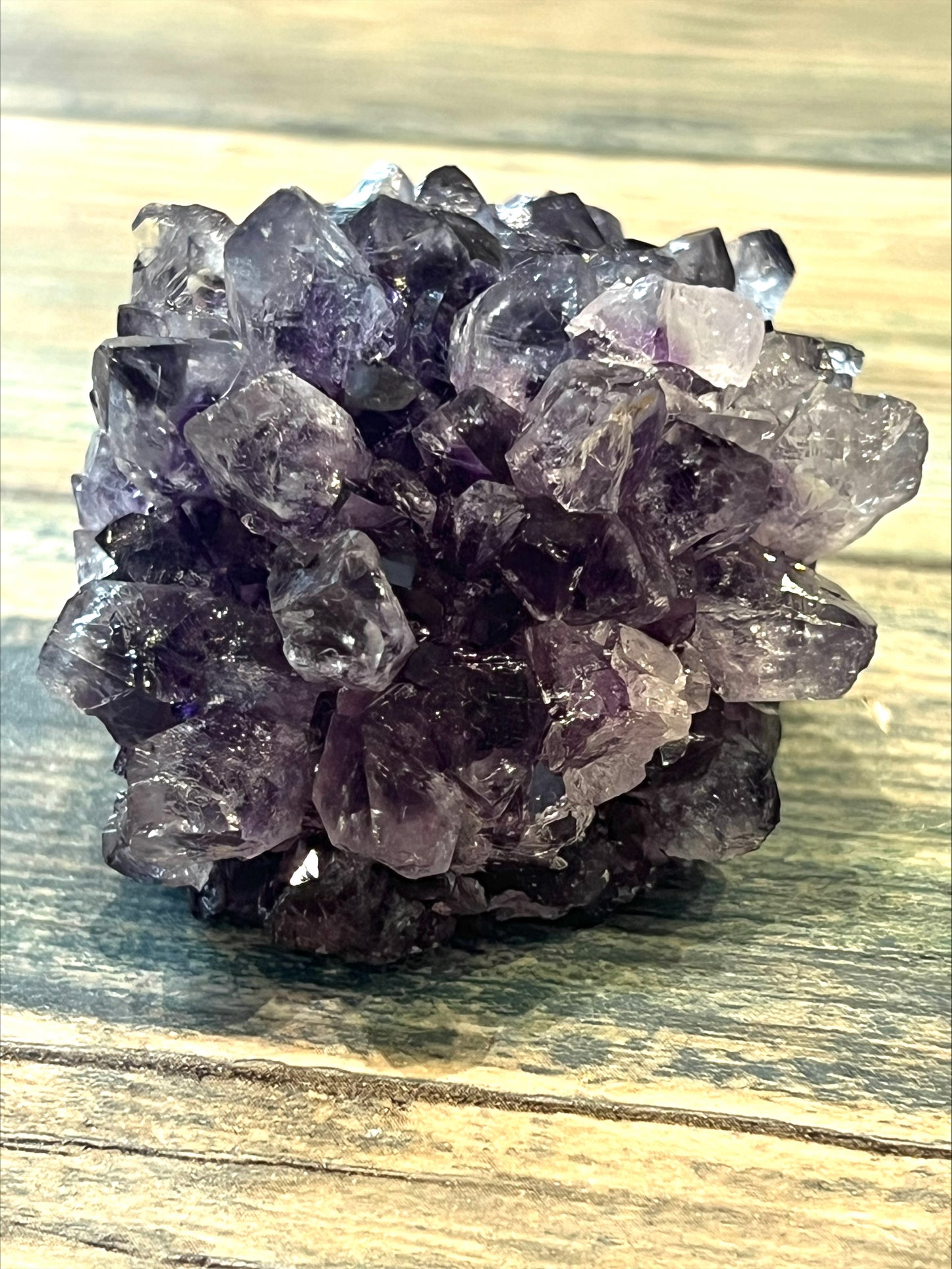 Amethyst Pine