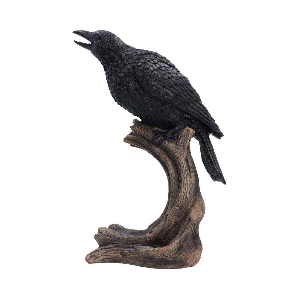 Raven's Caw 26.8cm