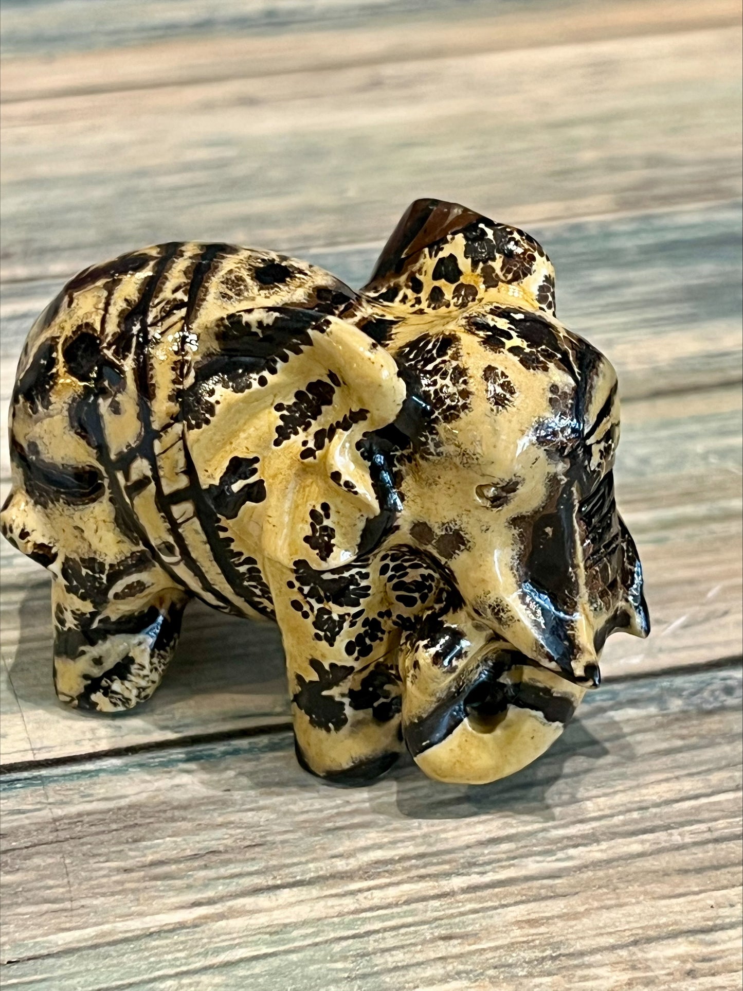 Picture Jasper Elephant