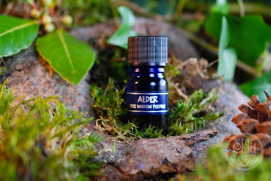 Tree Perfume - Alder 5ml