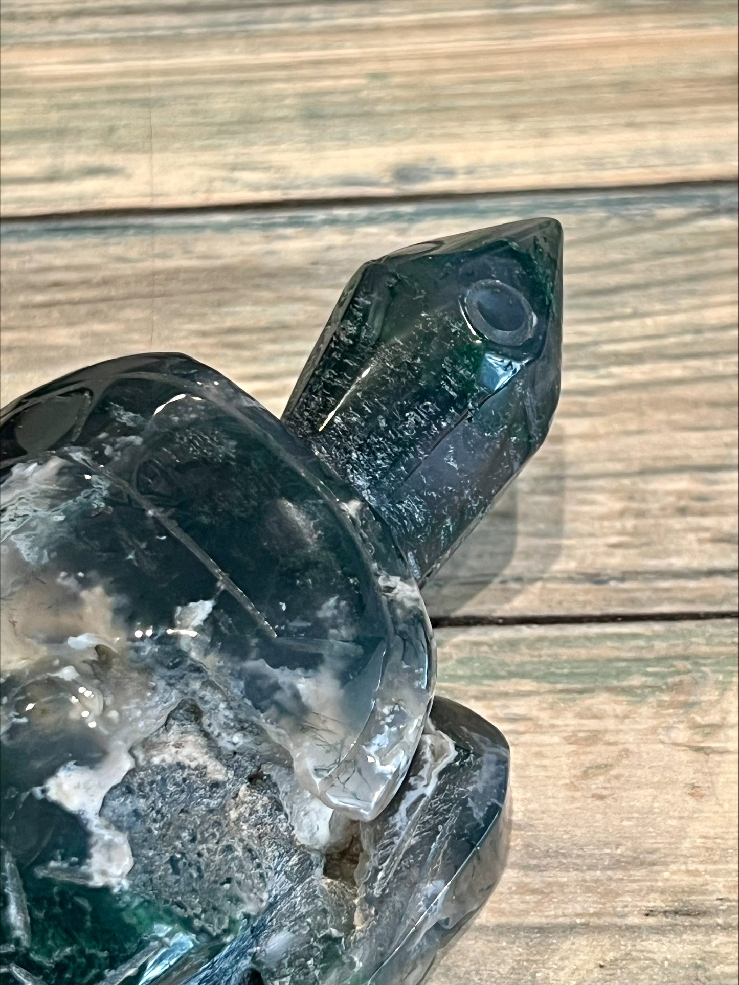 Moss Agate Turtle