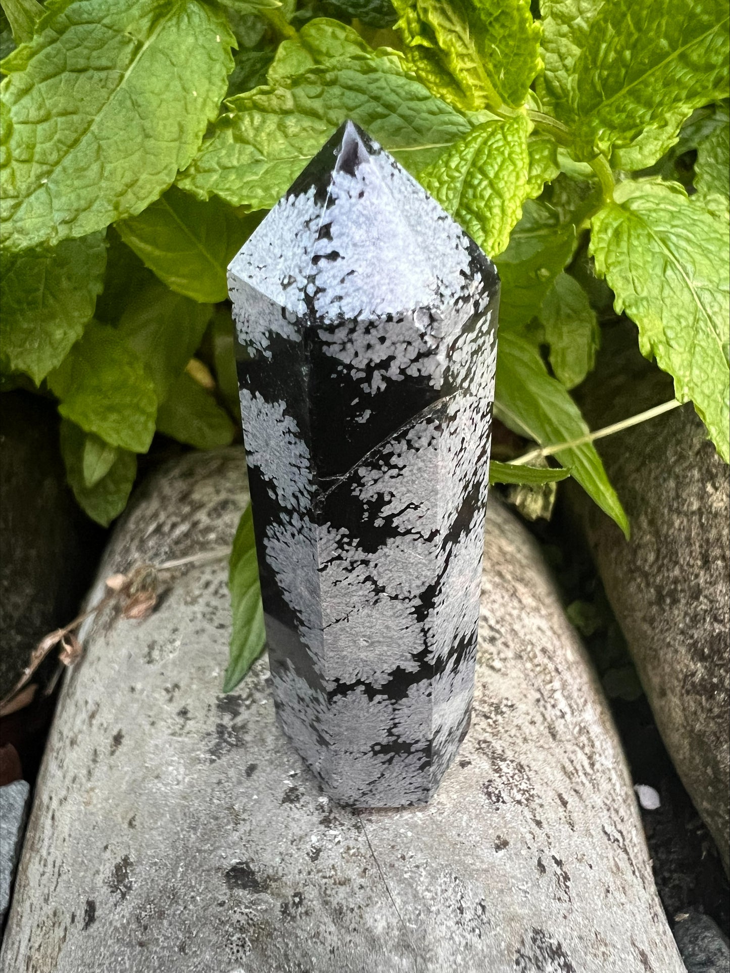 Obsidian Point
