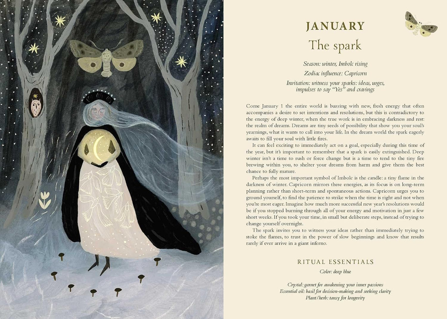 2027 Seasons of the Witch Planner