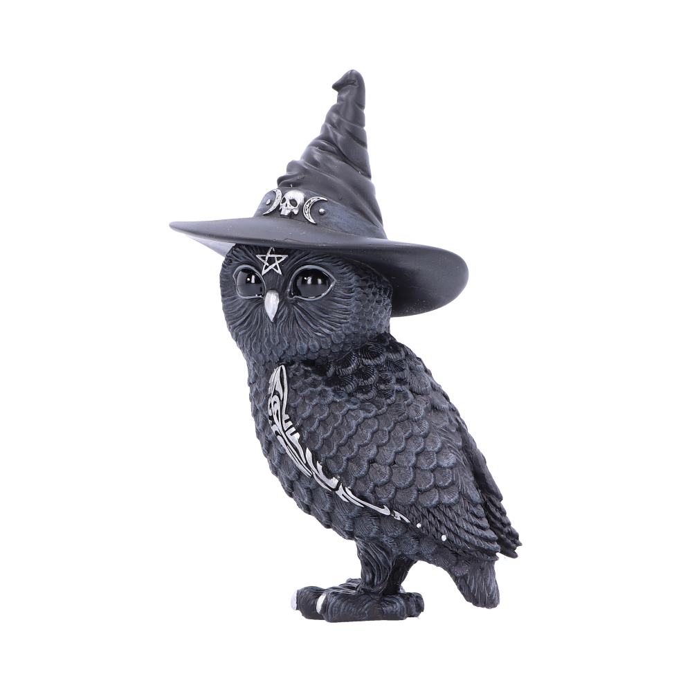 Cult Cutie - Owlocen 13.5cm
