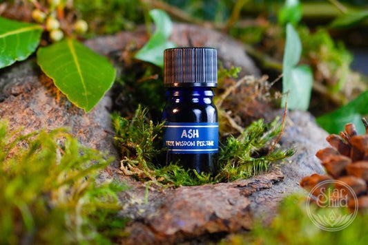 Ash Tree Perfume