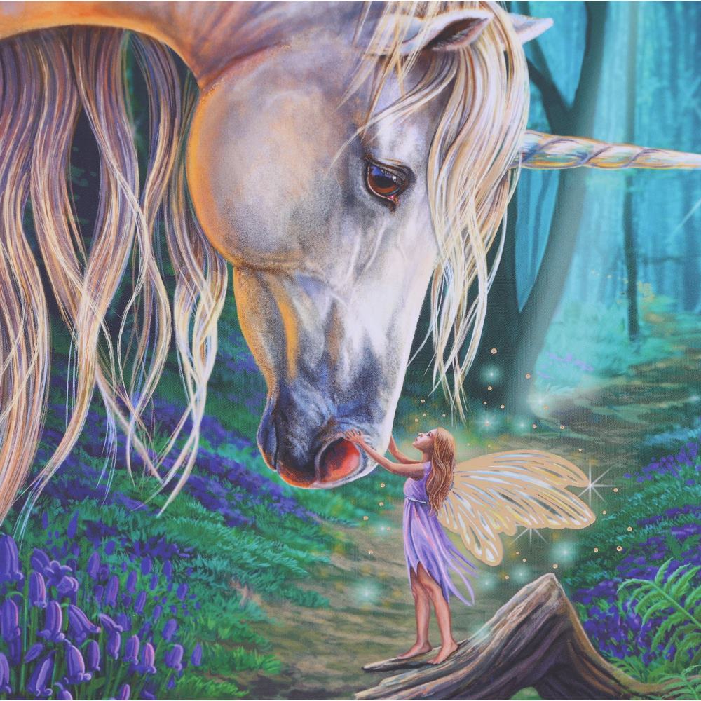 Journal - Fairy Whispers 17.5cm