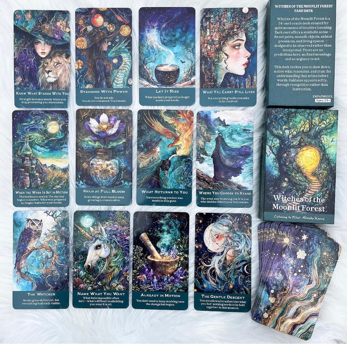 Witches of the Moonlit Forest