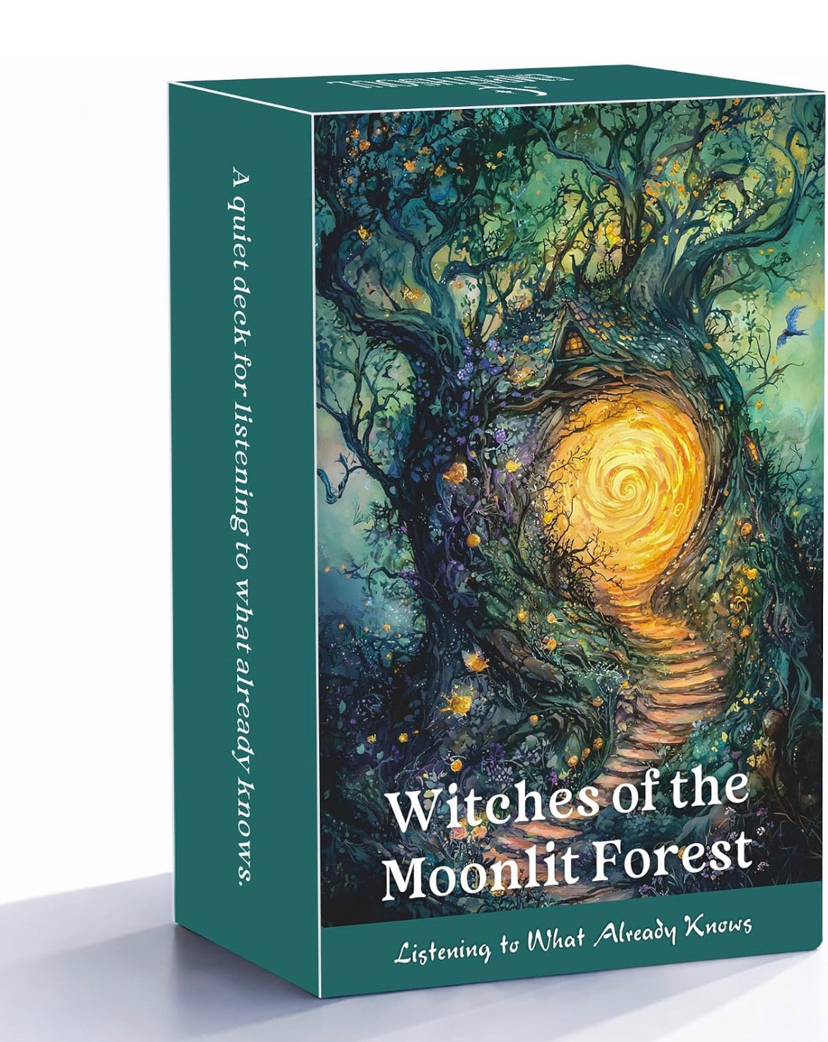 Witches of the Moonlit Forest
