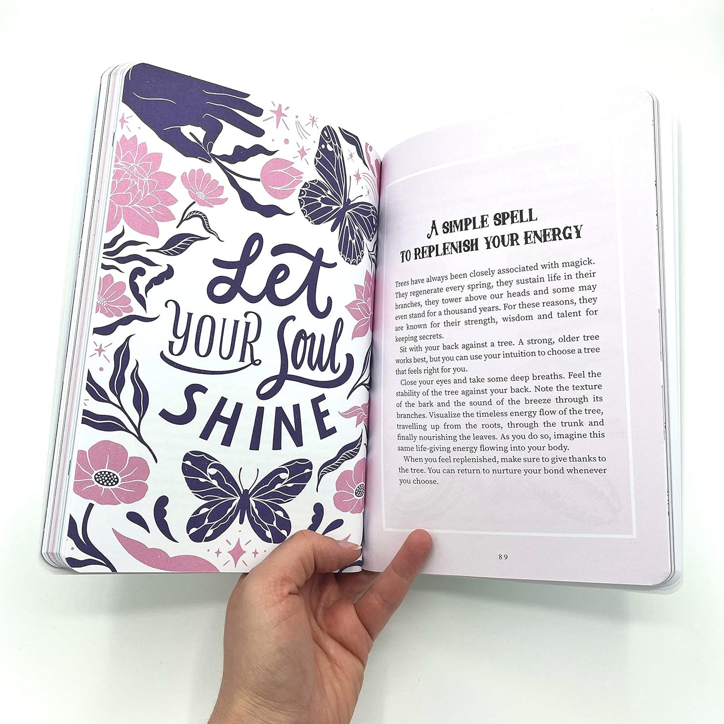 The Baby Witch's Journal
