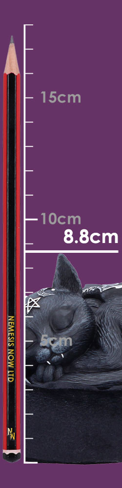 Malpuss Dreams 8.8cm
