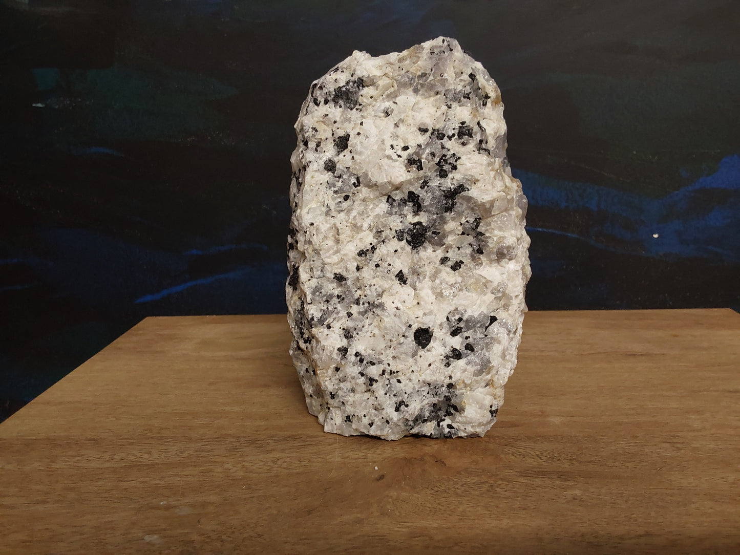 Black Tourmaline in Quartz