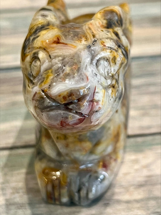 Crazy Lace Agate Hare
