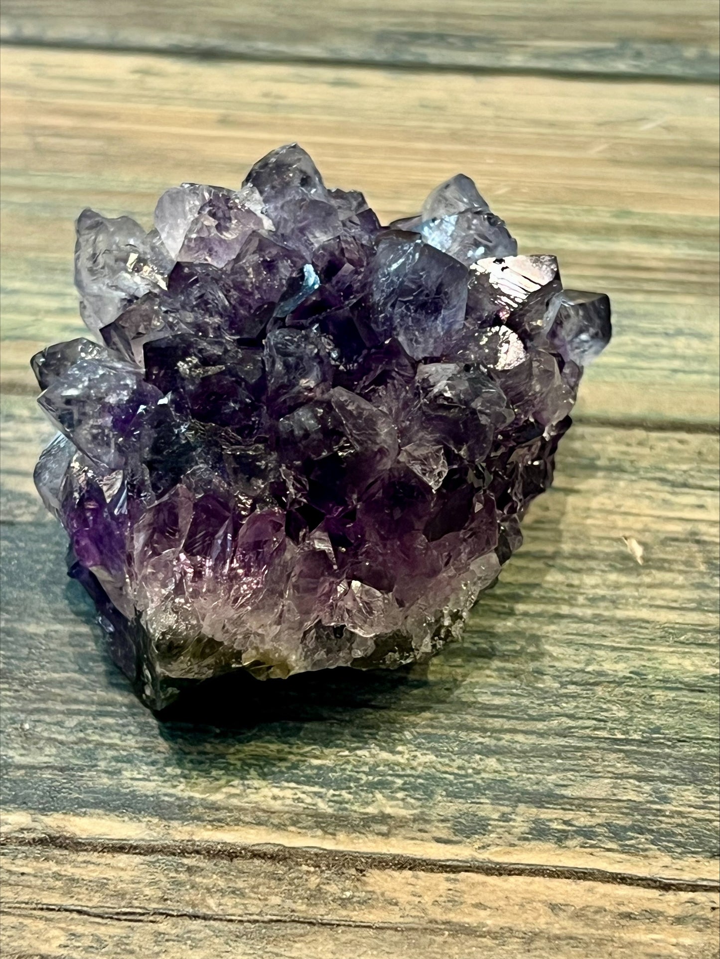 Amethyst Pine
