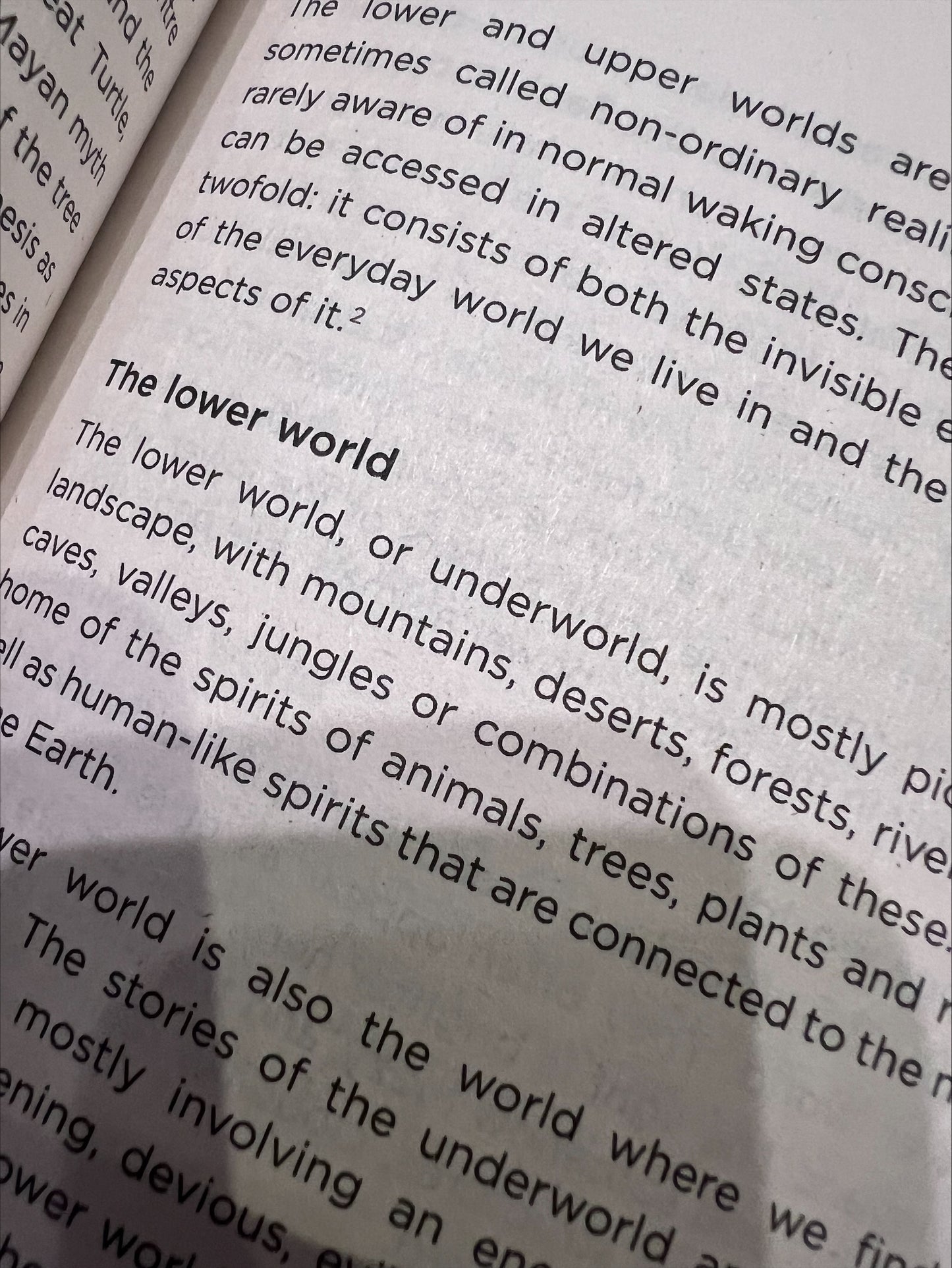 Shamanism Made Easy by Christa Mackinnon