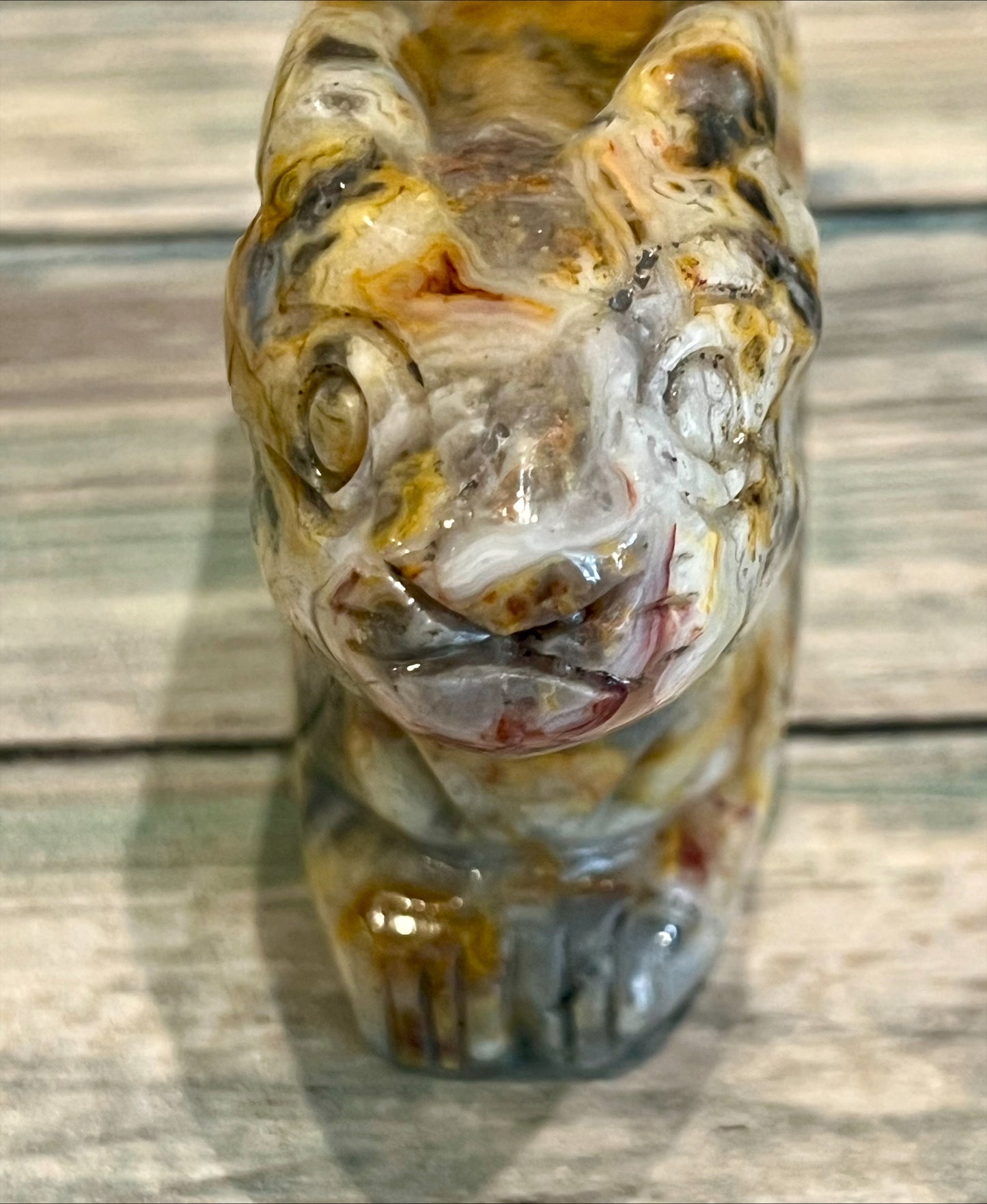 Crazy Lace Agate Hare