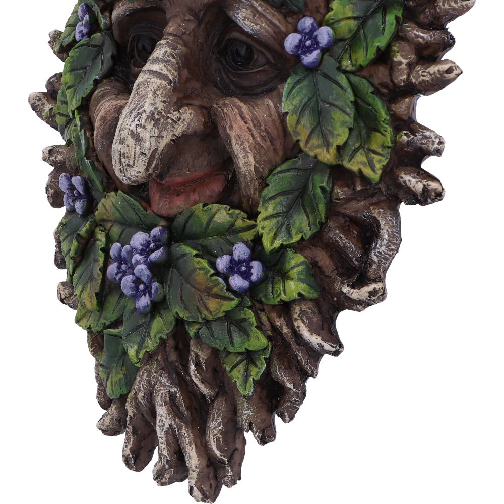 Alder 20.2cm