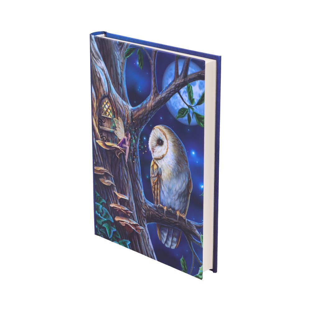 Fairy Tales Notebook