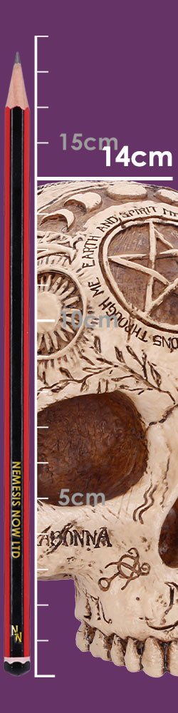 Apothecary Skull 14cm